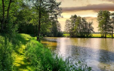 Od pohybu k tanci 17.4.2026