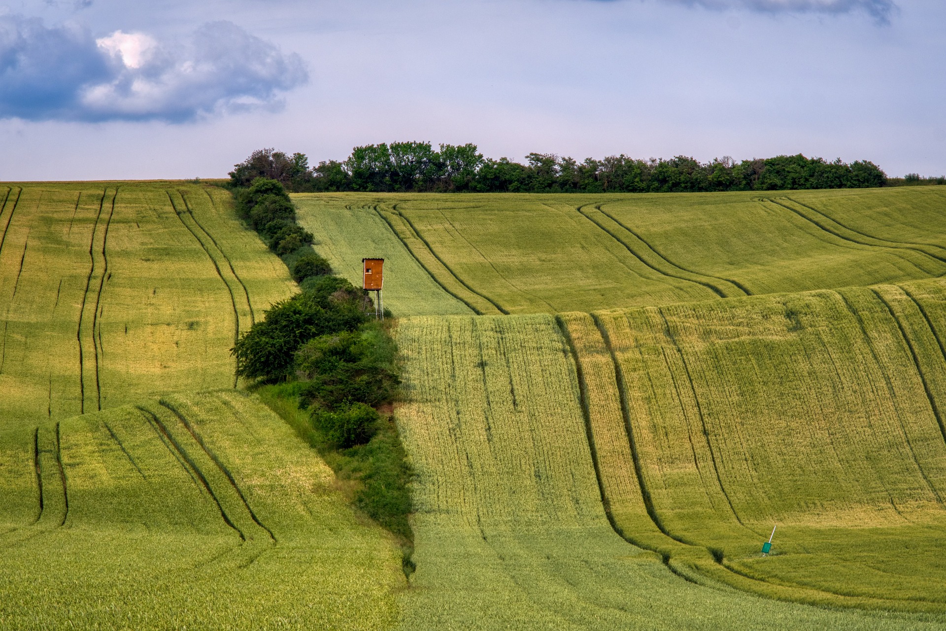 Ilustrační foto Řikonín - Níhov