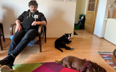 Vědomá procházka se psem, která změní víc než jen poslušnost 18.4.2026